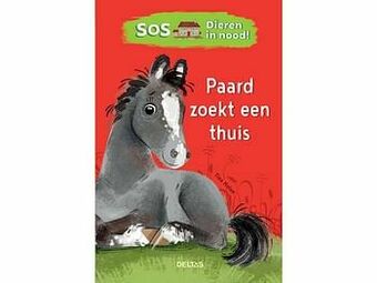 Multi bazar Sos Dieren In Nood! Paard Zoekt Een Thuis aanbieding