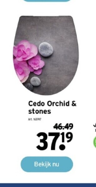 Cedo orchid & stones
