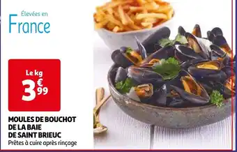 MOULES DE BOUCHOT DE LA BAIE DE SAINT BRIEUC