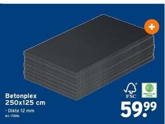 Betonplex 250x125 cm