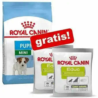 Royal Canin Droogvoer voor Honden + 2 x 50 g Educ Beloningssnacks gratis! - 3 kg - Labrador Retriever Puppy