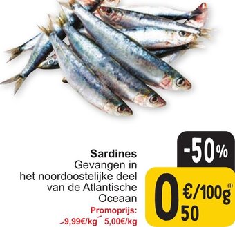 Cora Sardines 100g aanbieding