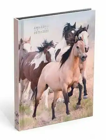 ToyChamp Amazone schoolagenda aanbieding