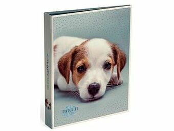 Multi bazar My Favourite Friends Ringband A4 2 Ringen Dog/Blue aanbieding