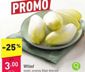 ALDI Witloof aanbieding