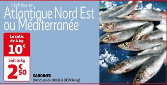 SARDINES 4kg