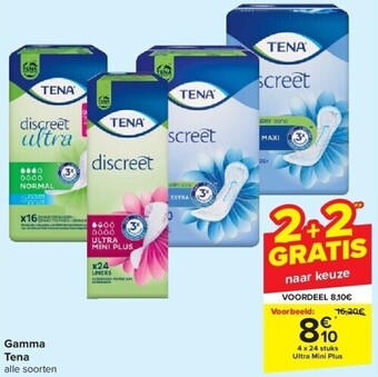 Carrefour Gamma tena aanbieding