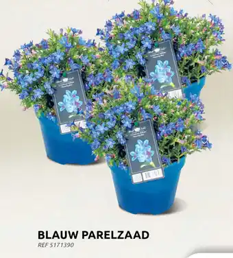 Brico BLAUW PARELZAAD aanbieding