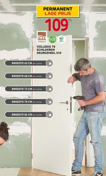 BricoPlanit VOLLEDIG TE SCHILDEREN DEURGEHEEL S10 aanbieding