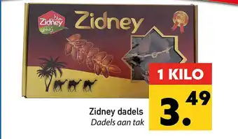 Tanger Markt Zidney Dadels aanbieding