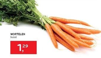 Alvo Wortelen bussel aanbieding