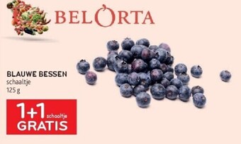 Alvo Blauwe bessen aanbieding