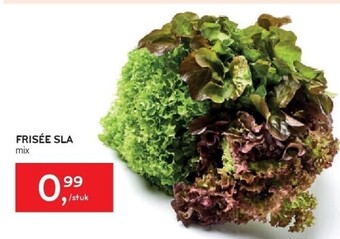 Alvo Frisée sla aanbieding