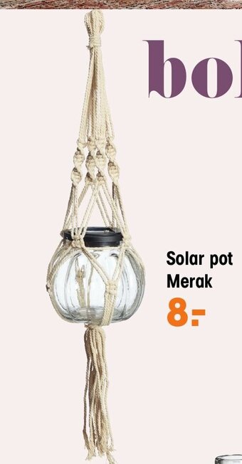 Kwantum Solar pot Merak aanbieding
