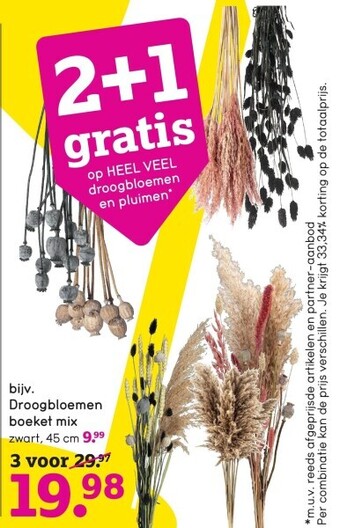 Droogbloemen boeket mix