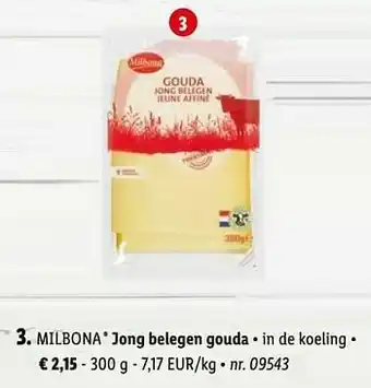 Jong belegen gouda
