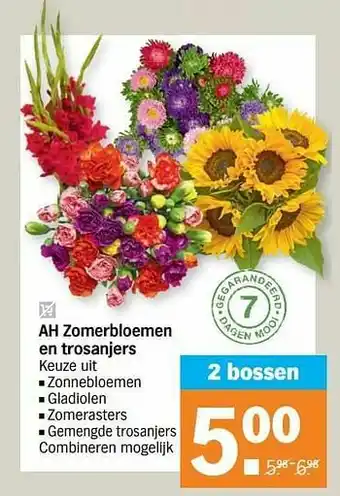 Albert Heijn Ah zomerbloemen en trosanjers aanbieding