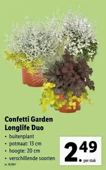 Confetti garden longlife duo