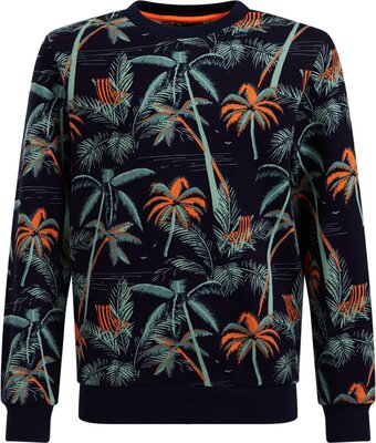 Bol.com We fashion jongens sweater met dessin aanbieding