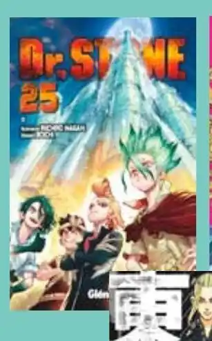 Cora Dr. Stone aanbieding