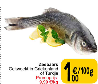 Cora Zeebaars aanbieding