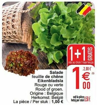 Cora Salade feuille de chêne eikenbladsla aanbieding