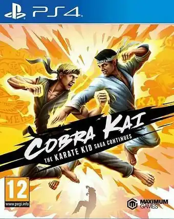 Dreamland PS4 Cobra Kai The Karate Kid Saga Continues ENG/FR aanbieding