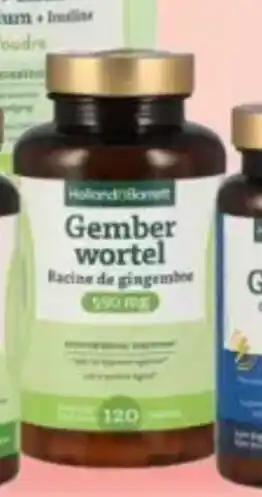 Gember wortel