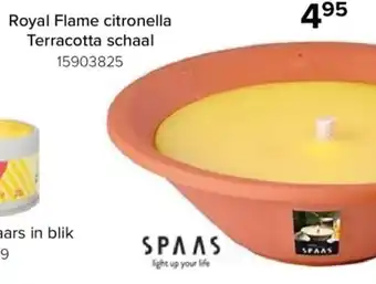 Royal Flame citronella Terracotta schaal