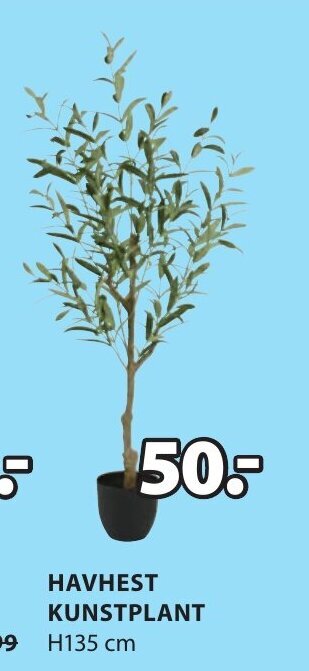 Jysk HAVHEST KUNSTPLANT H135 cm aanbieding