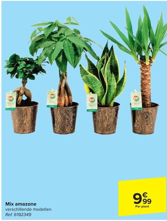 Carrefour Mix amazone aanbieding