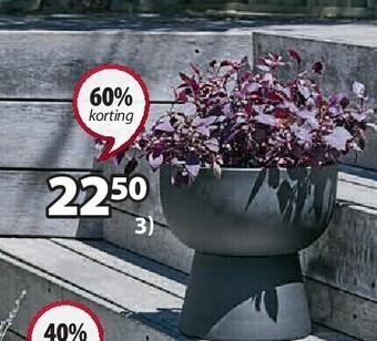 Jysk Lomvi bloembak aanbieding