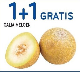 Galia meloen