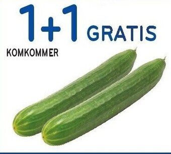Alvo Komkommer aanbieding