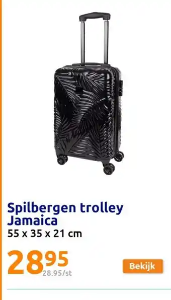 Action Spilbergen trolley Jamaica 55 x 35 x 21cm aanbieding