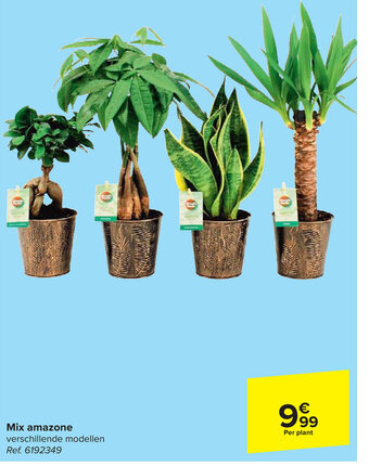 Carrefour Mix amazone aanbieding