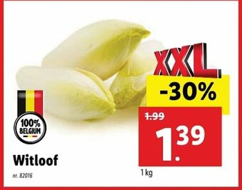 Lidl Witloof 1kg aanbieding