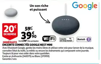 Immédiate Enceinte Connectée Google Nest Mini