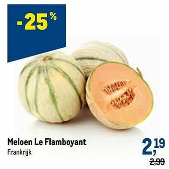 Meloen le flamboyant