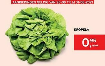 Alvo Kropsla aanbieding