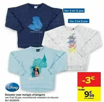 Carrefour Sweater voor meisjes of jongens aanbieding
