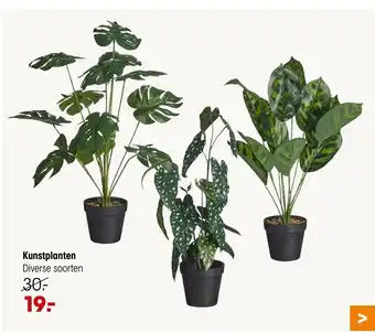 Kwantum Kunstplanten Diverse soorten aanbieding
