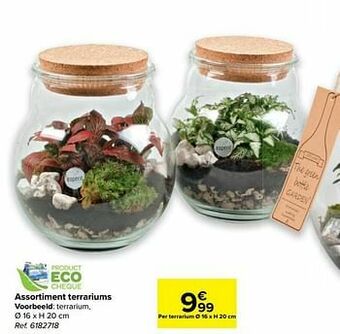 Terrarium