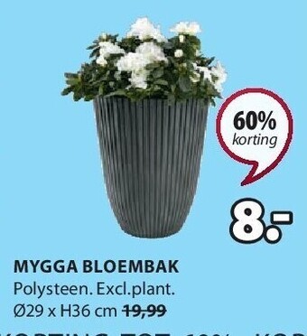 Jysk Mygga bloembak aanbieding