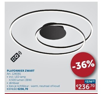 Zelfbouwmarkt Plafonnier zwart aanbieding