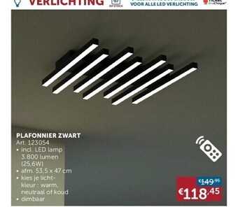 Zelfbouwmarkt Plafonnier zwart aanbieding