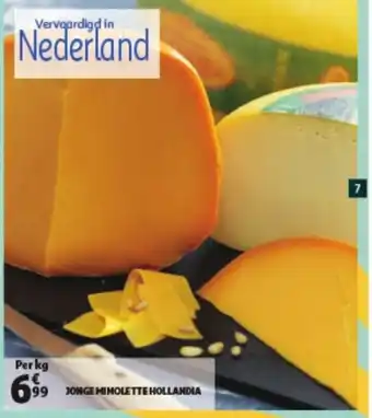 Jonge mimolette hollandia