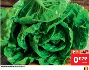 SALADE POMMEE FLOW PACK