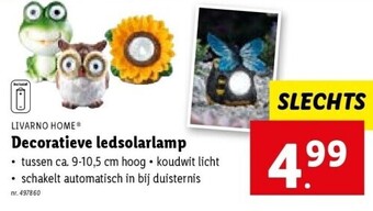 Lidl Decoratieve ledsolarlamp aanbieding