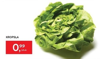 Kropsla per stuk